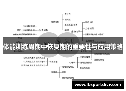 体能训练周期中恢复期的重要性与应用策略